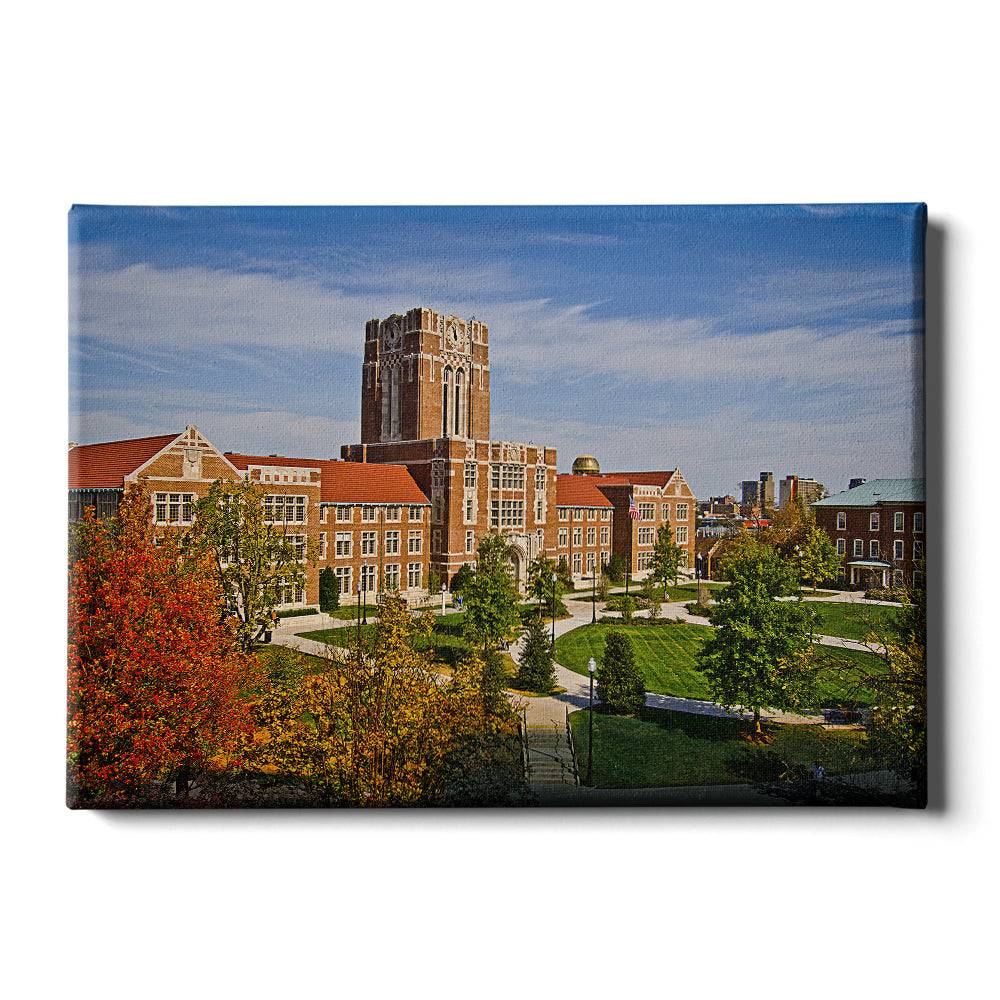 Tennessee Volunteers - Ayers Aerial - College Wall Art #Canvas