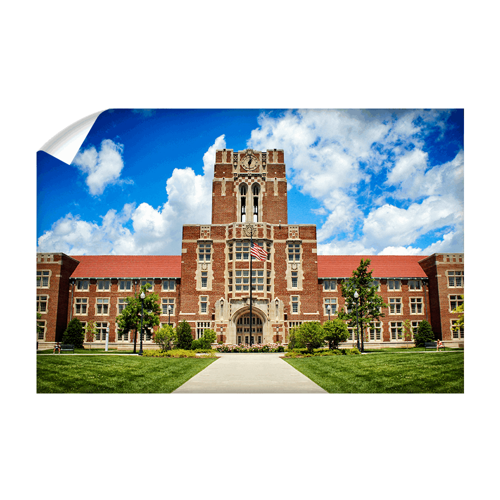 Tennessee Volunteers - Ayres Color - College Wall Art #Canvas