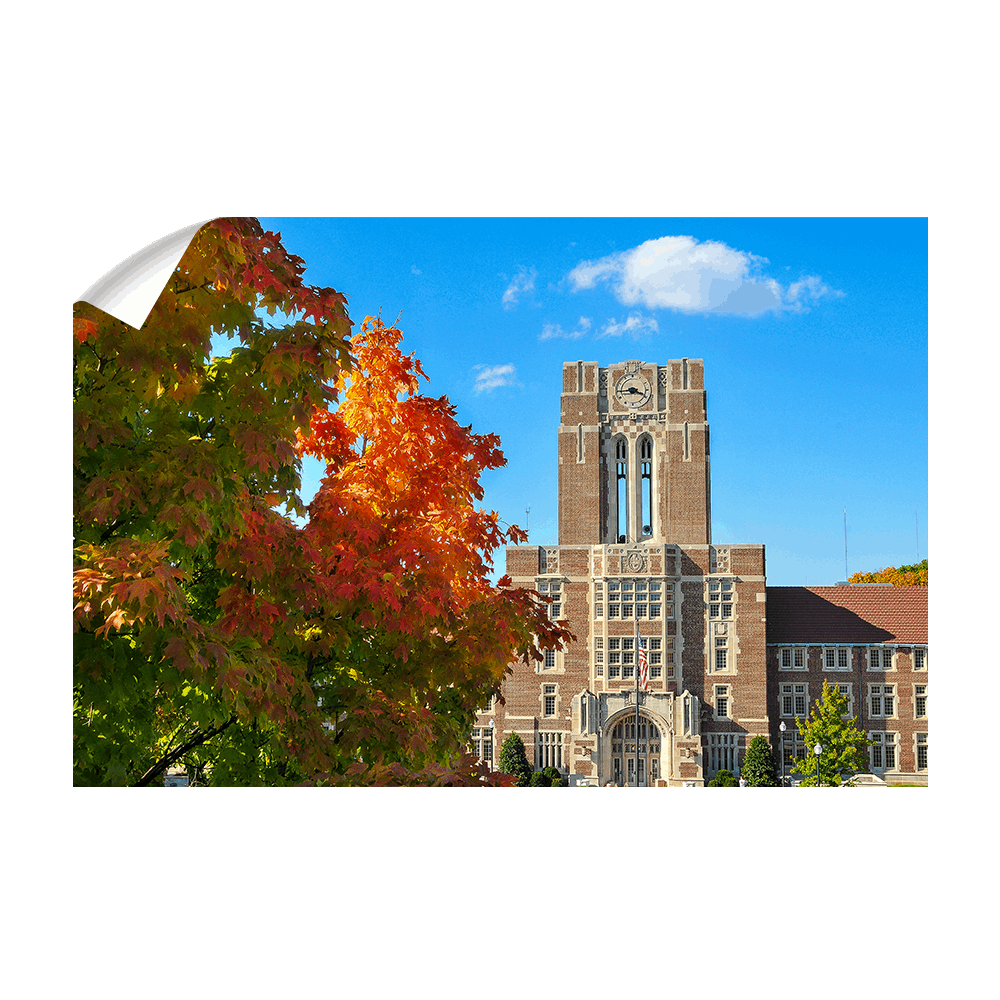 Tennessee Volunteers - Ayres Fall - College Wall Art #Canvas