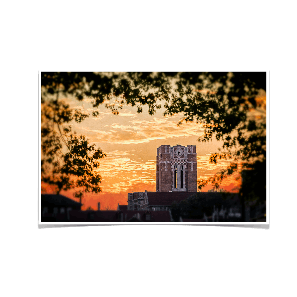 Tennessee Volunteers - Ayres Blaze - College Wall Art #Canvas
