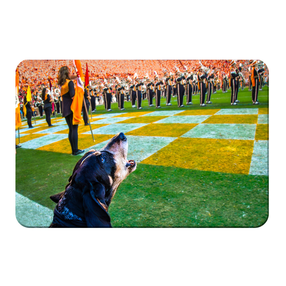 Tennessee Volunteers - Smokey X - College Wall Art #Canvas