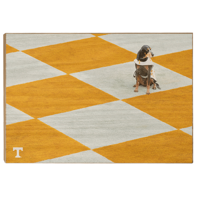 Tennessee Volunteers - Checkerboard Smokey - College Wall Art #Wood