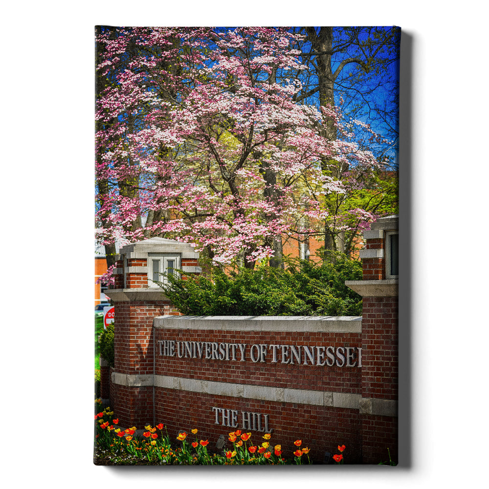 Tennessee Volunteers - Spring on the Hill - College Wall Art #Canvas
