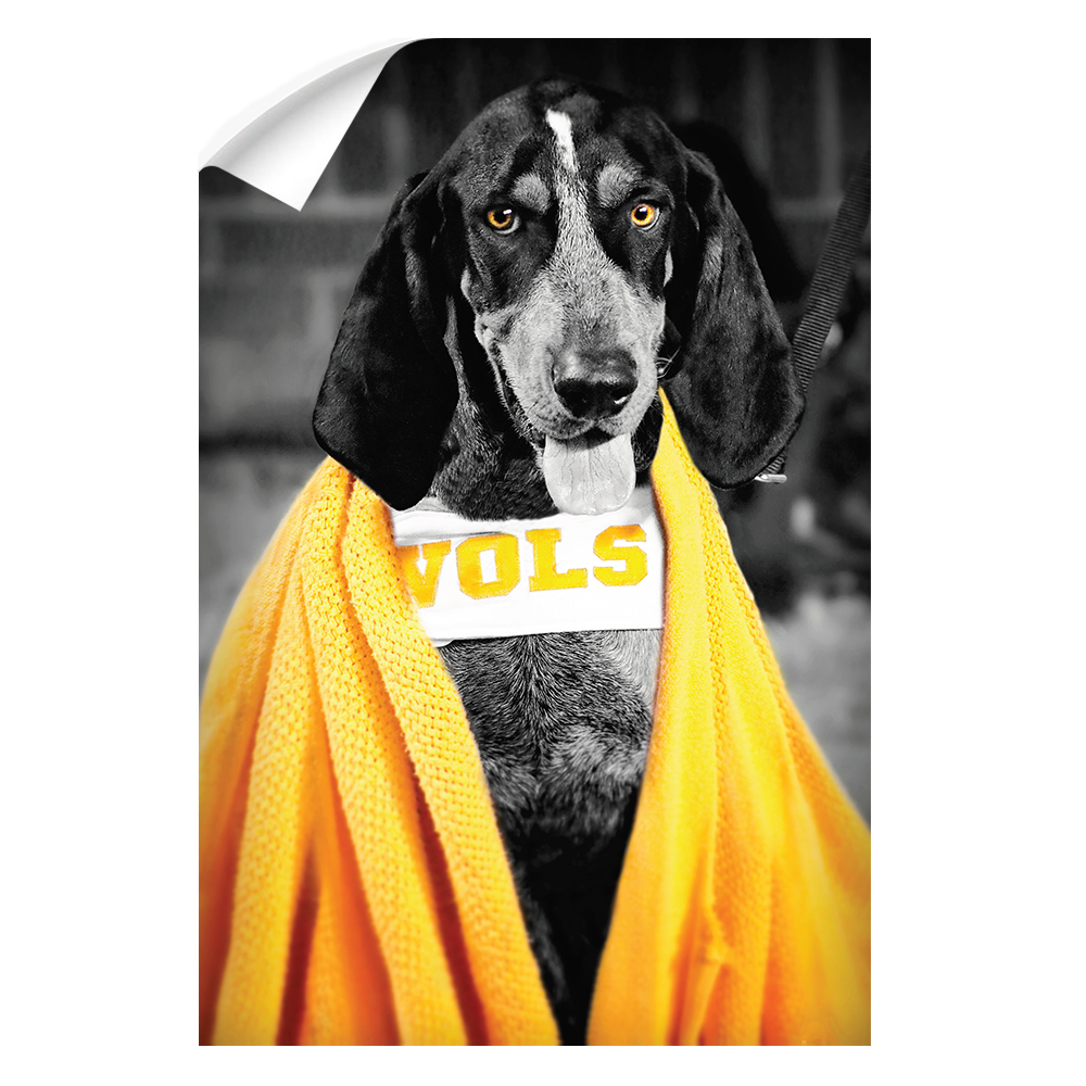 Tennessee Volunteers - Jedi Smokey - College Wall Art #Canvas