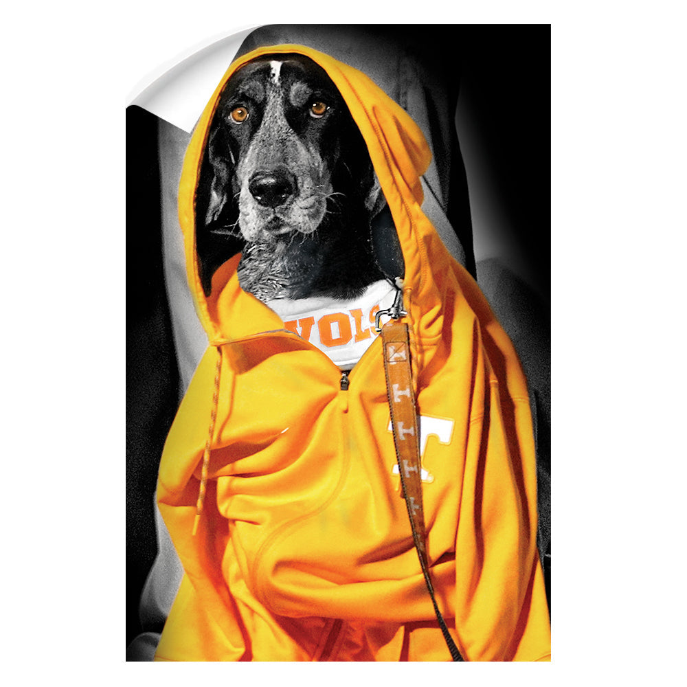 Tennessee Volunteers - Smokey Hood - College Wall Art #Canvas