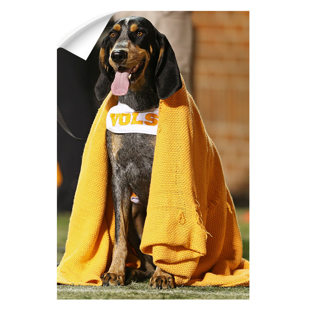 Tennessee Volunteers - Smokey's Blanket - College Wall Art #Canvas