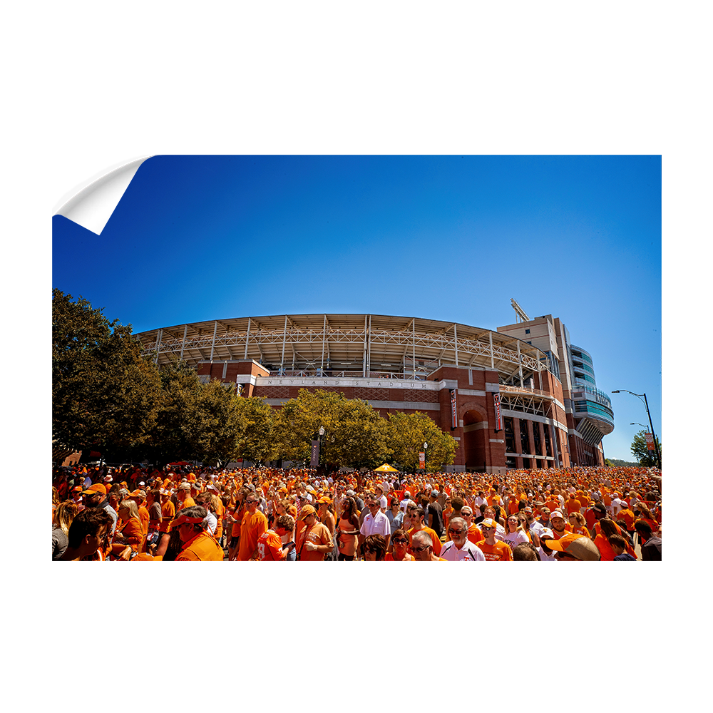 Tennessee Volunteers - Orange Swarm - College Wall Art #Canvas