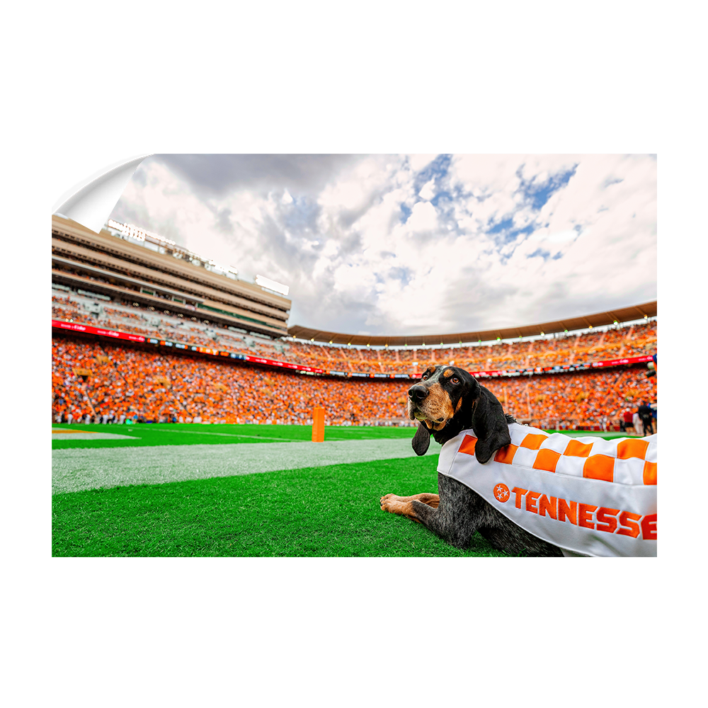 Tennessee Volunteers - Smokey's Tennessee #Canvas
