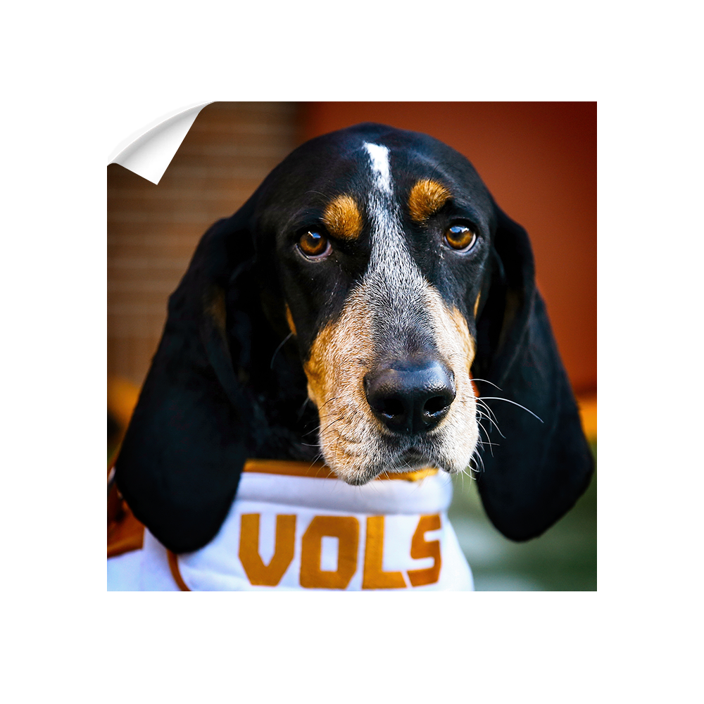 Tennessee Volunteers - TN Smokey Vols - College Wall Art #Canvas
