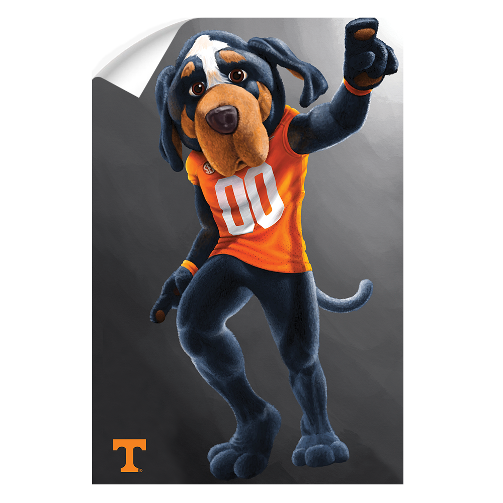 Tennessee Volunteers - Smokey - College Wall Art #Canvas