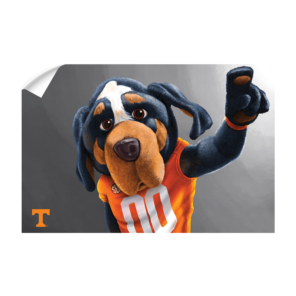 Tennessee Volunteers - Smokey - College Wall Art #Canvas