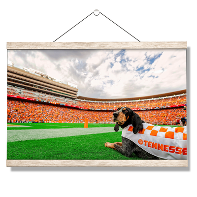 Tennessee Volunteers - Smokey's Tennessee #Hanging Canvas
