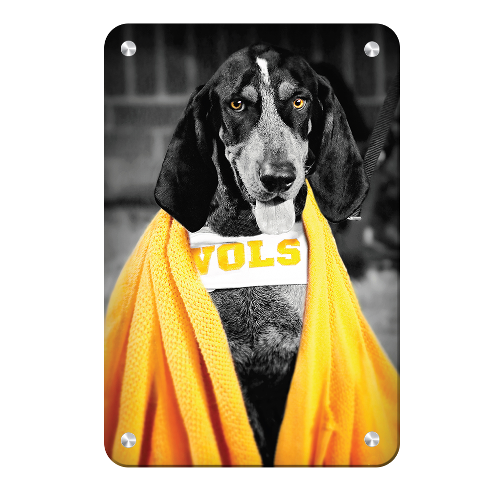 Tennessee Volunteers - Jedi Smokey - College Wall Art #Canvas
