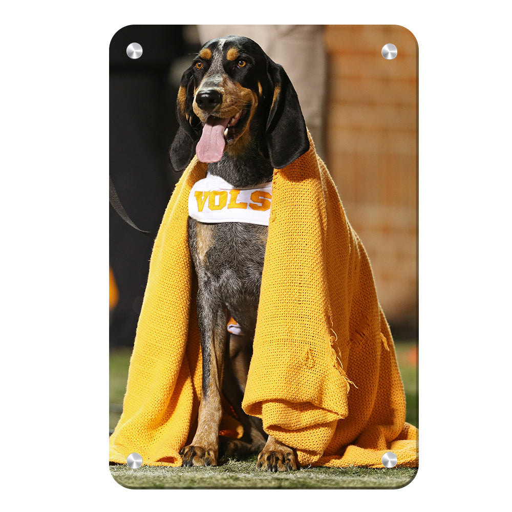 Tennessee Volunteers - Smokey's Blanket - College Wall Art #Canvas