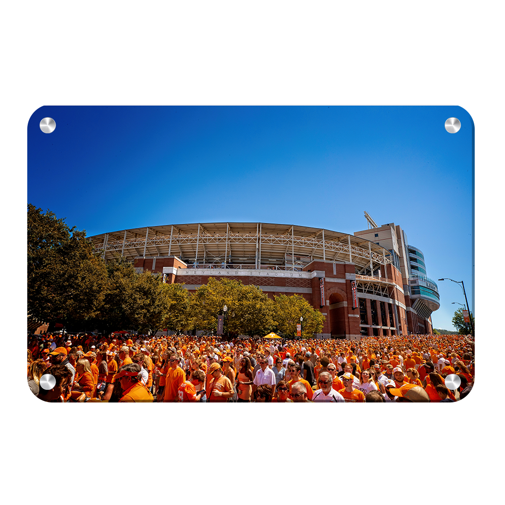 Tennessee Volunteers - Orange Swarm - College Wall Art #Canvas