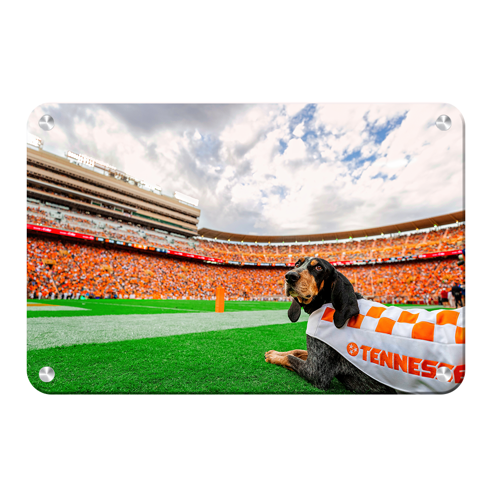 Tennessee Volunteers - Smokey's Tennessee #Canvas