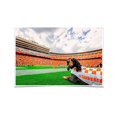 Tennessee Volunteers - Smokey's Tennessee #Poster