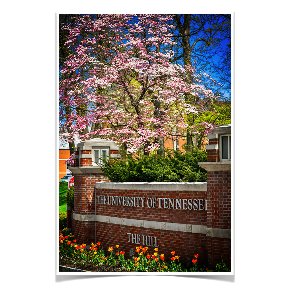 Tennessee Volunteers - Spring on the Hill - College Wall Art #Canvas