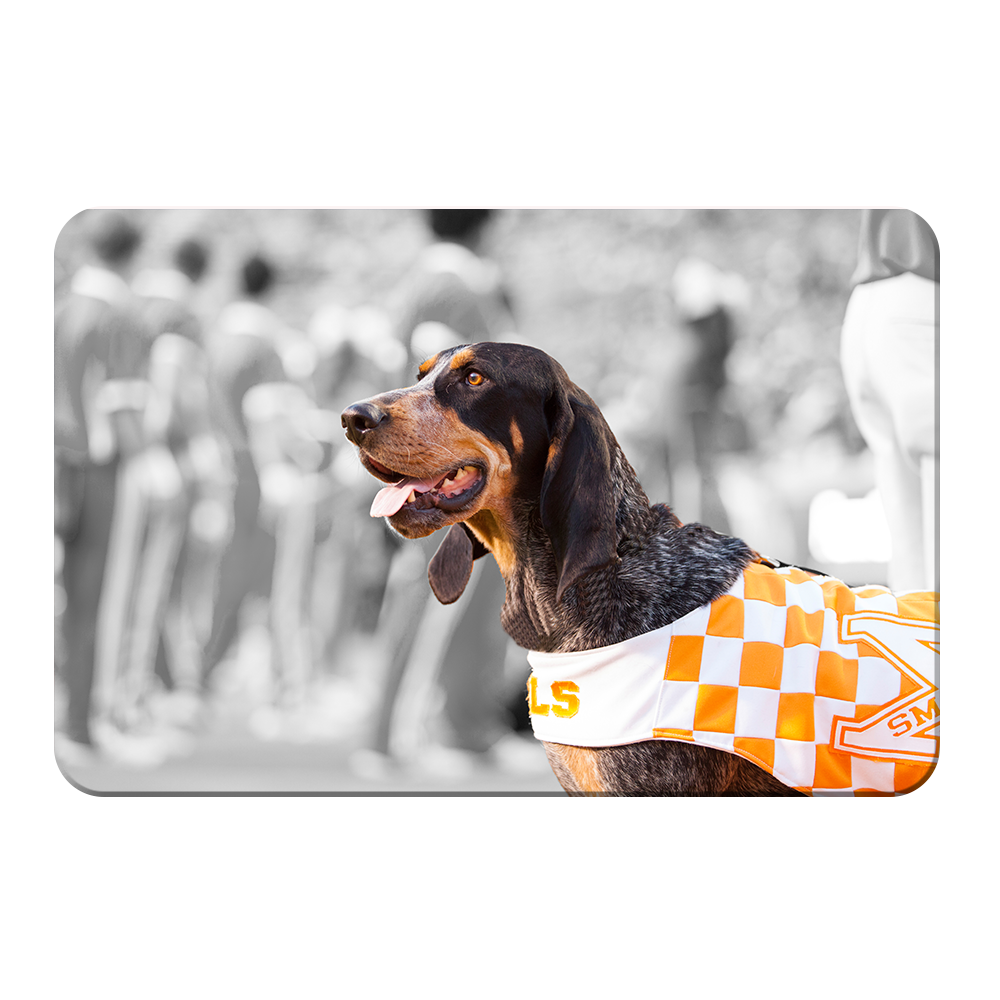 Tennessee Volunteers - Smokey X - College Wall Art #Canvas
