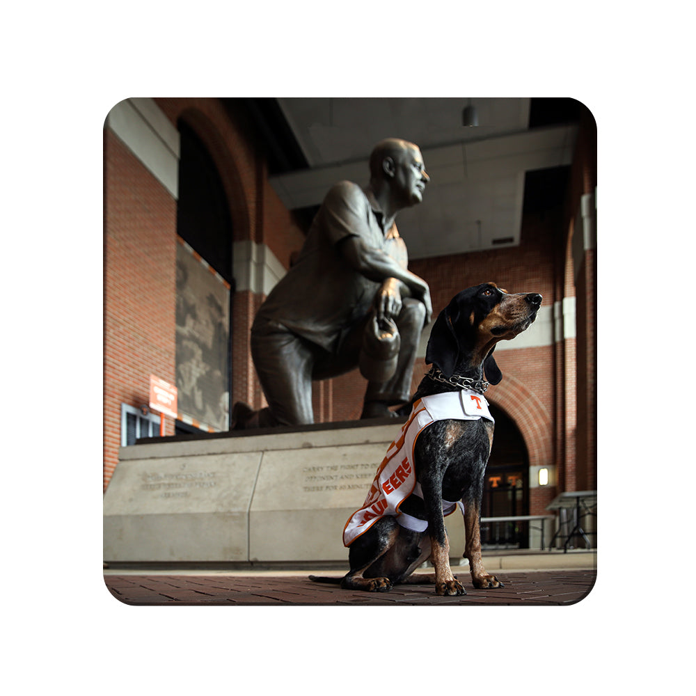 Tennessee Volunteers - Poised - College Wall Art #Canvas