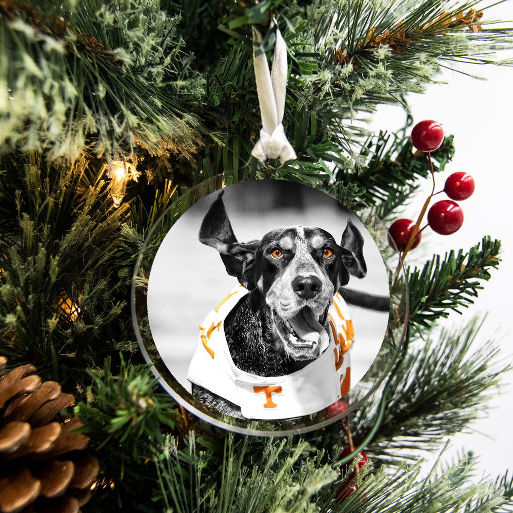 Tennessee Volunteers - Smokey TD #Bag Tag