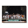 Tennessee Volunteers - 2024 NCAA Baseball National Champions Team
