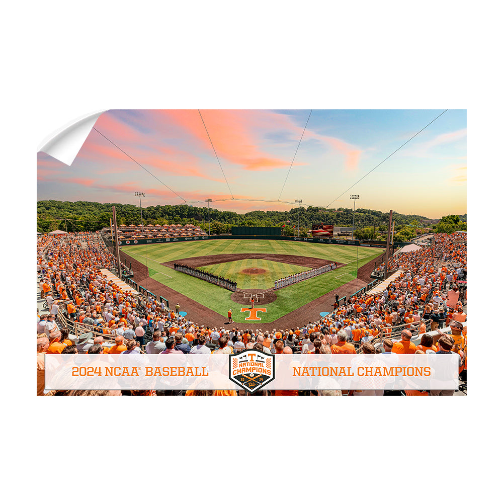 Tennessee Volunteers - Lindsey Nelson Stadium NCAA Baseball National Champions