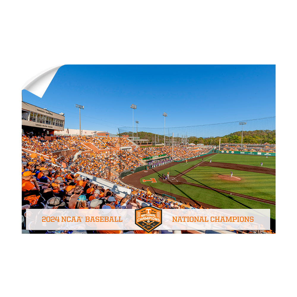 Tennessee Volunteers - Tennessee Baseball NCAA Baseball National Champions