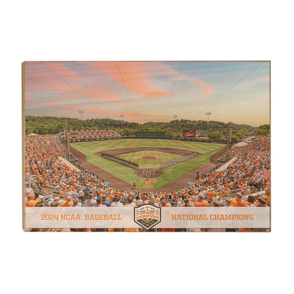 Tennessee Volunteers - Lindsey Nelson Stadium NCAA Baseball National Champions