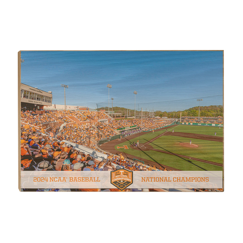 Tennessee Volunteers - Tennessee Baseball NCAA Baseball National Champions
