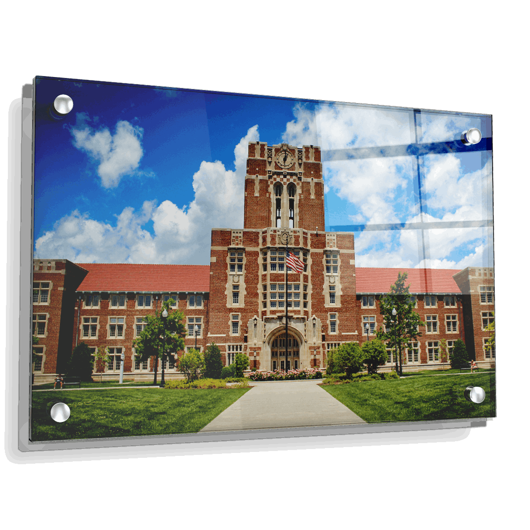 Tennessee Volunteers - Ayres Color - College Wall Art #Canvas