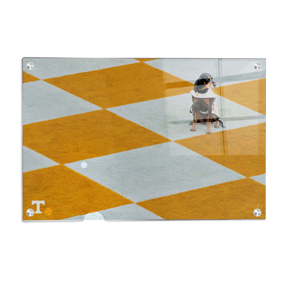 Tennessee Volunteers - Checkerboard Smokey - Vol Wall Art #Canvas