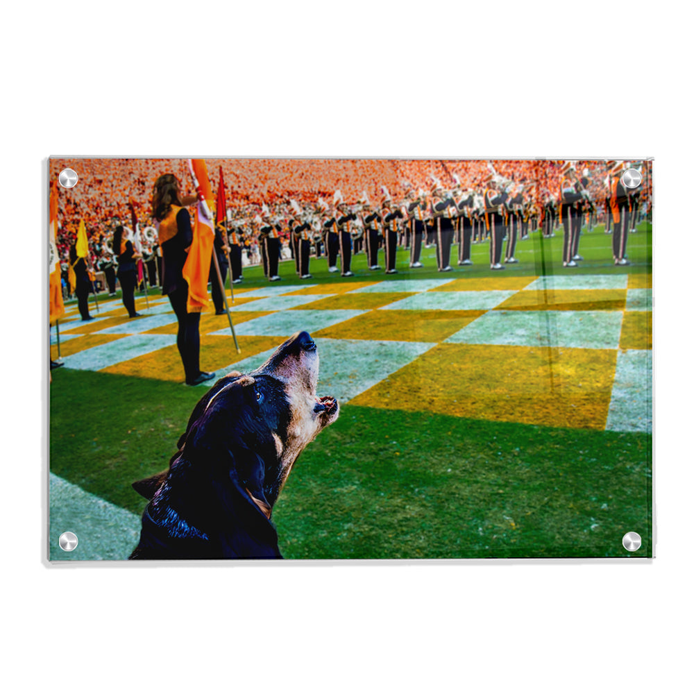 Tennessee Volunteers - Smokey X - College Wall Art #Canvas