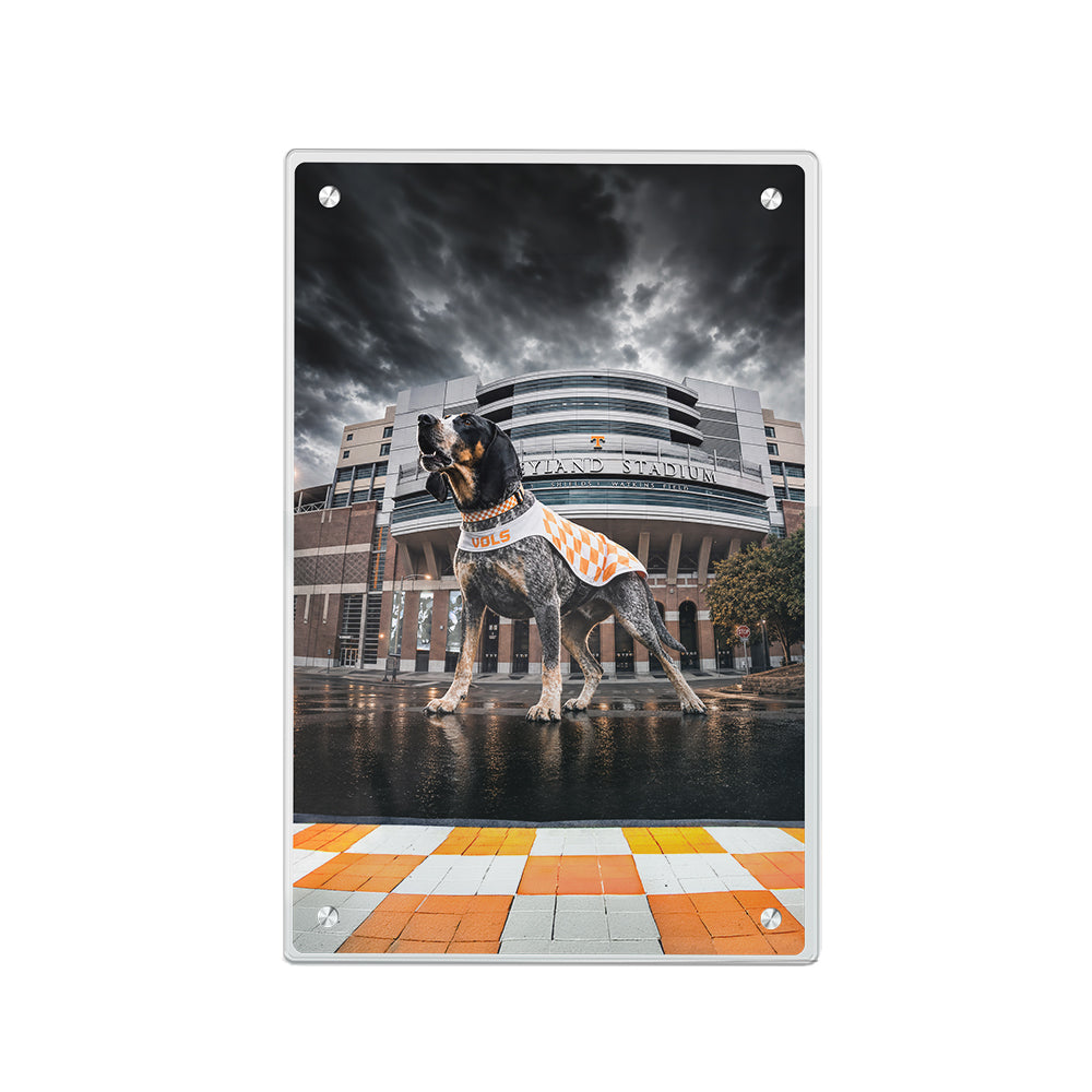 Tennessee Volunteers - Defend Rocky Top - Vol Wall Art #Acrylic