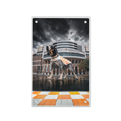 Tennessee Volunteers - Defend Rocky Top - Vol Wall Art #Acrylic