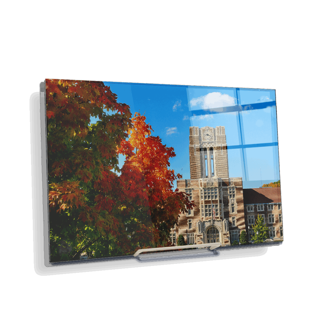 Tennessee Volunteers - Ayres Fall - College Wall Art #Canvas
