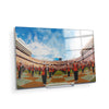 Tennessee Volunteers - Tennessee Flyover - College Wall Art #Acrylic Mini