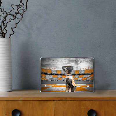 Tennessee Volunteers - Smokey's Watch - Vol Wall Art #Acrylic Mini