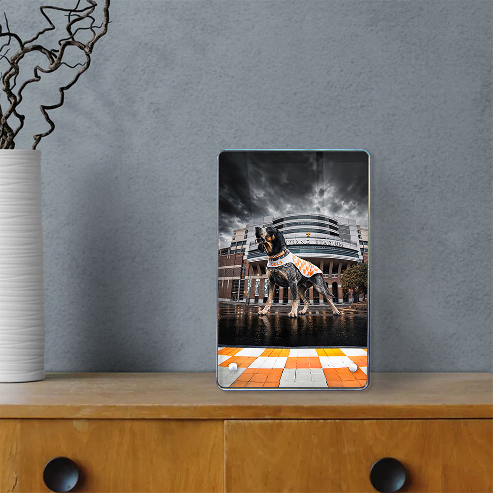 Tennessee Volunteers - Defend Rocky Top - Vol Wall Art #Acrylic Mini