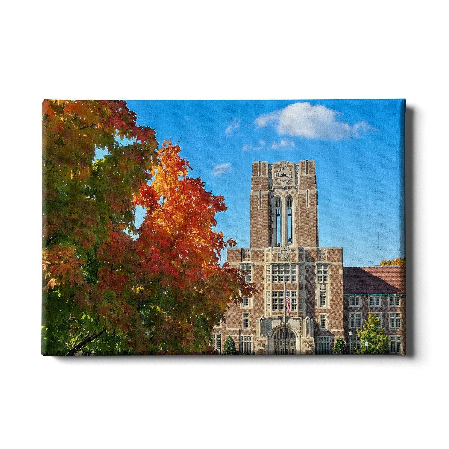 Tennessee Volunteers - Ayres Fall - College Wall Art #Canvas
