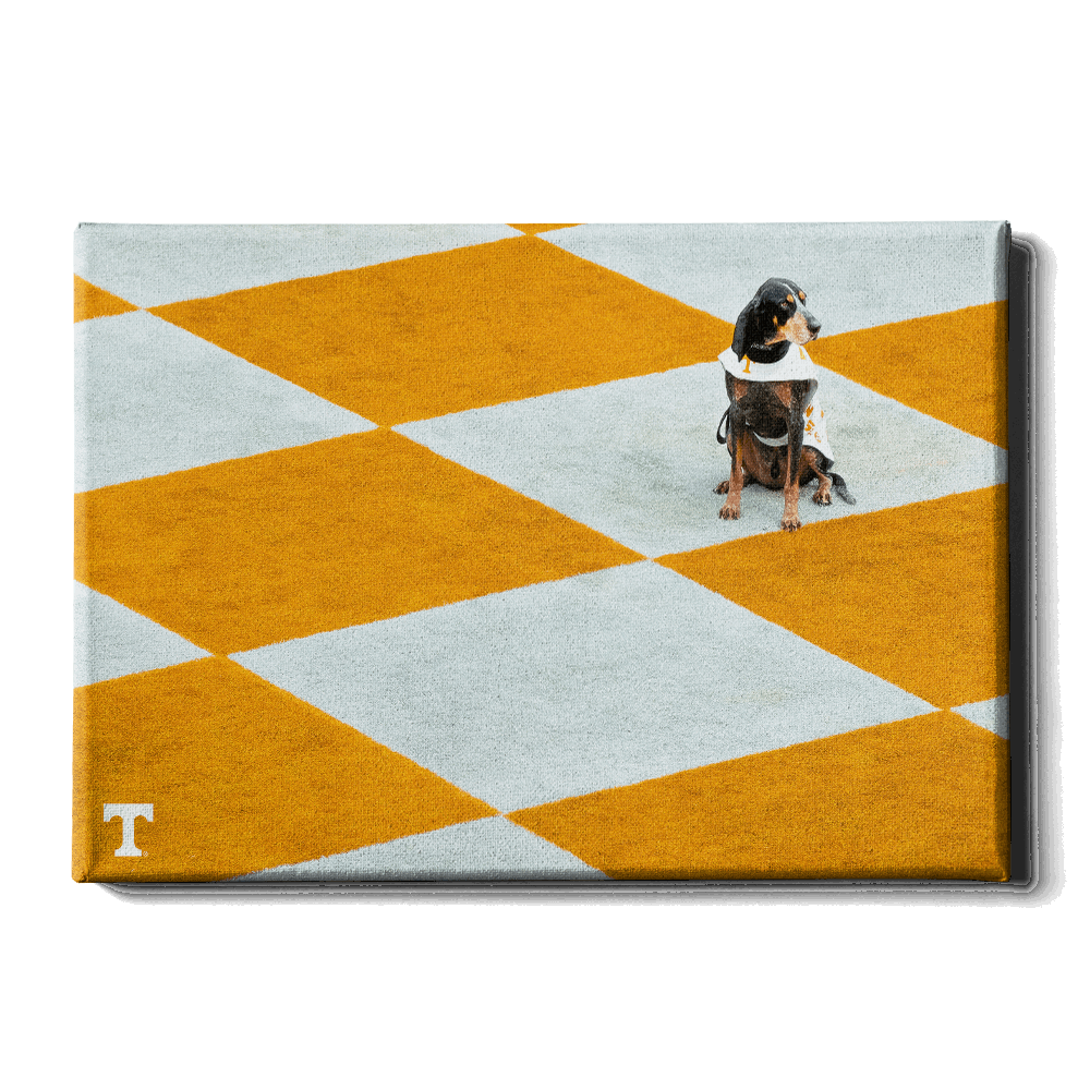 Tennessee Volunteers - Checkerboard Smokey - College Wall Art #Canvas