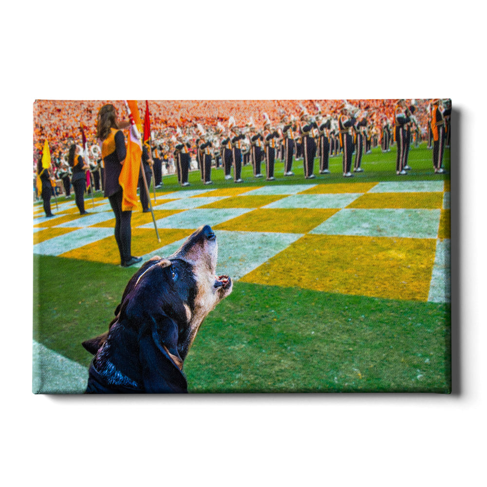 Tennessee Volunteers - Smokey X - College Wall Art #Canvas