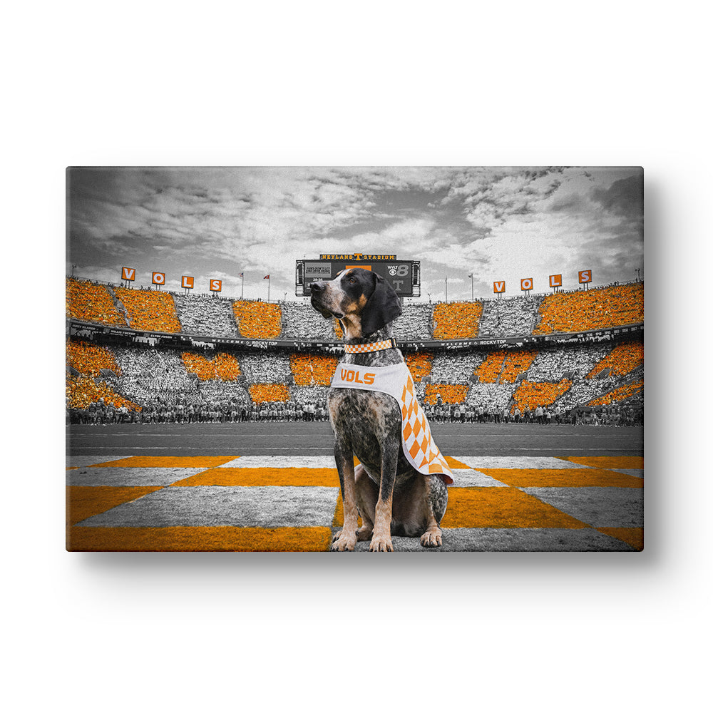 Tennessee Volunteers - Smokey's Watch - Vol Wall Art #Canvas
