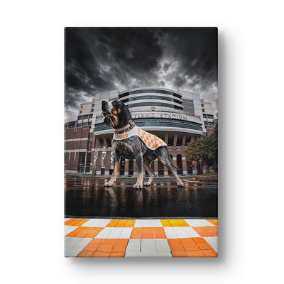 Tennessee Volunteers - Defend Rocky Top - Vol Wall Art #Canvas