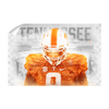 Tennessee Volunteers - Checker Vol - College Wall Art #Wall Decal