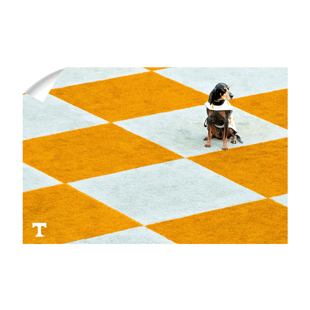 Tennessee Volunteers - Checkerboard Smokey - College Wall Art #Canvas
