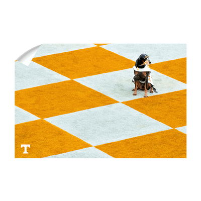 Tennessee Volunteers - Checkerboard Smokey - College Wall Art #Wall Decal