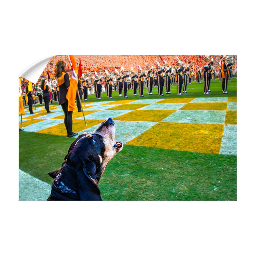 Tennessee Volunteers - Smokey X - College Wall Art #Canvas