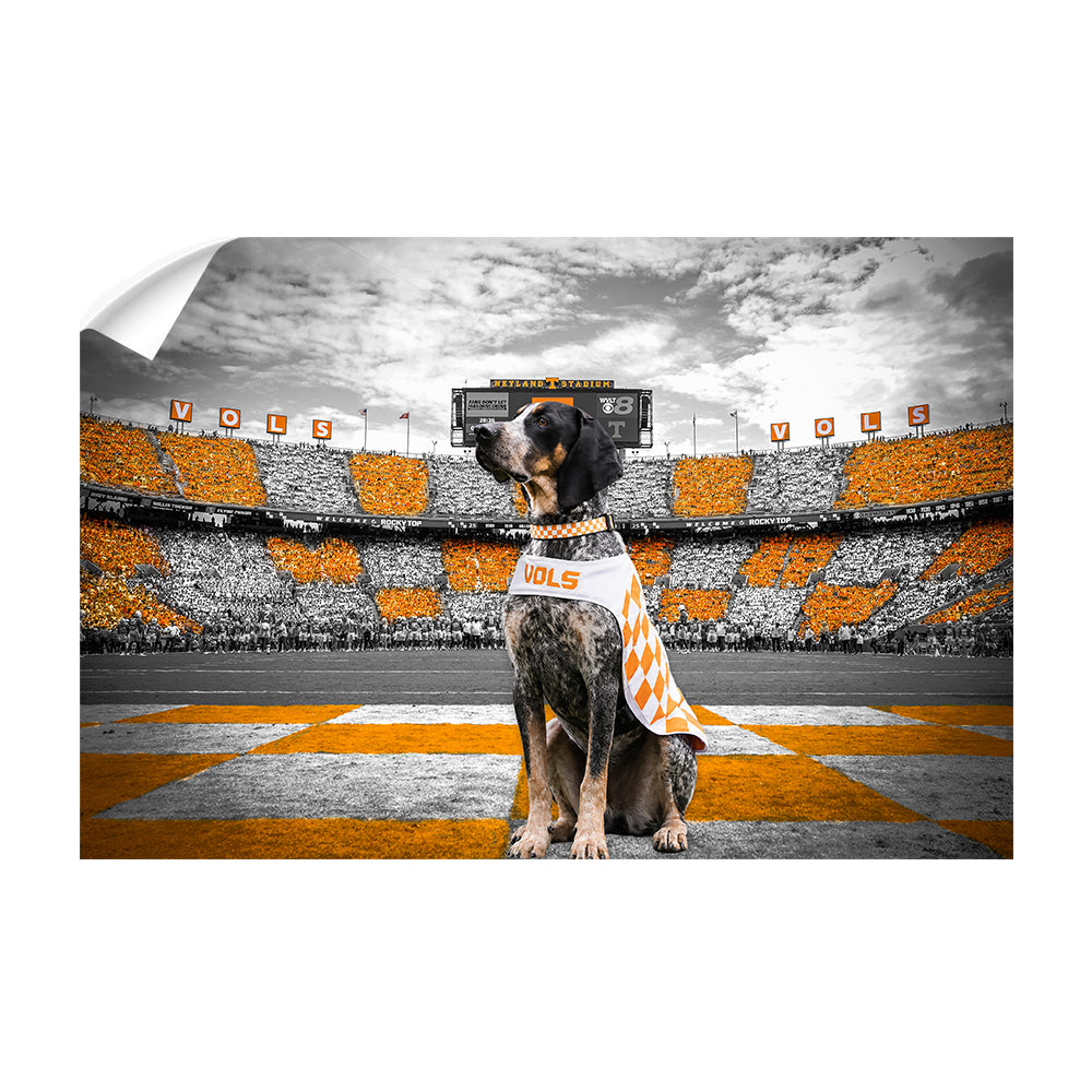 Tennessee Volunteers - Smokey's Watch - Vol Wall Art #Wall Decal
