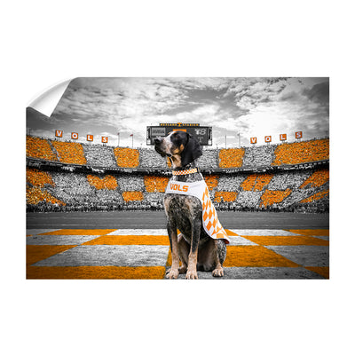 Tennessee Volunteers - Smokey's Watch - Vol Wall Art #Wall Decal